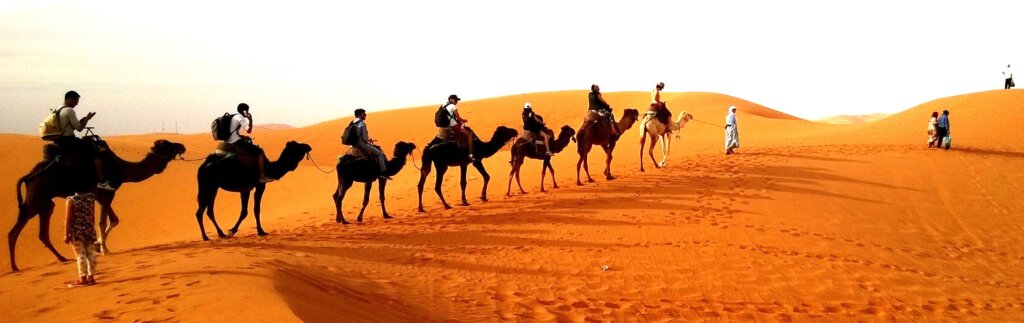 people enjoying a camel ride in the Jaisalmer desert