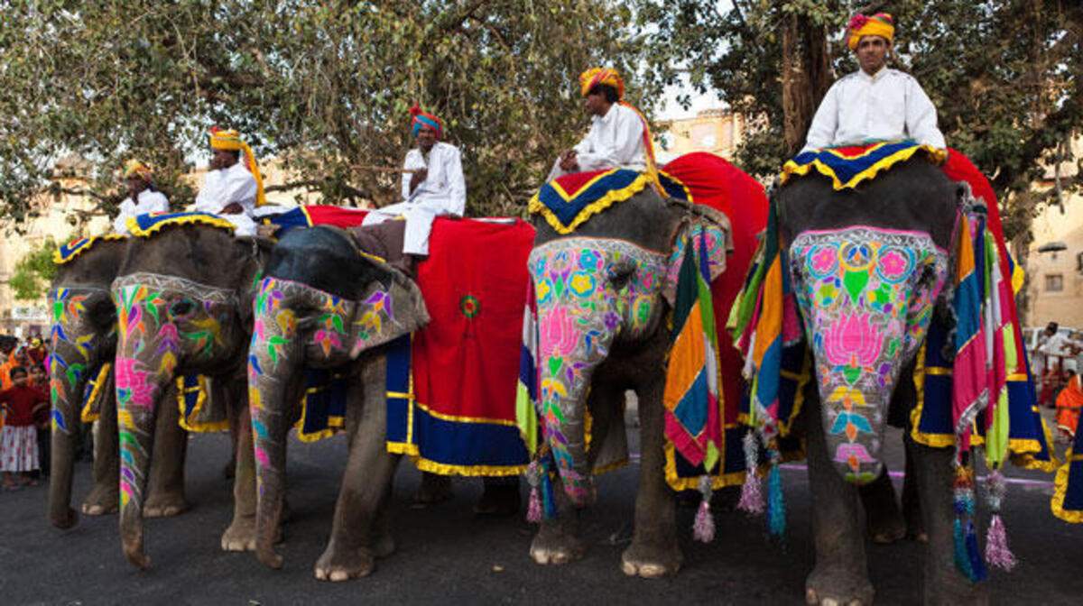 Elephant Festival, Jaipur - Elephant adorned with colorful rangoli decoration from the front, with the mahout overseeing