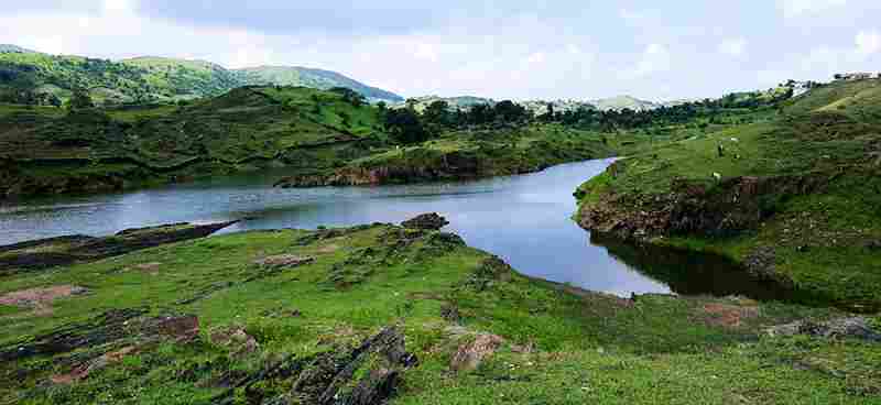 Scenic view of Bahubali Hills in Udaipur, showcasing lush greenery on small hills, with water flowing in the foreground and a split path ahead. Image courtesy of Arushi Kavdia via Unsplash