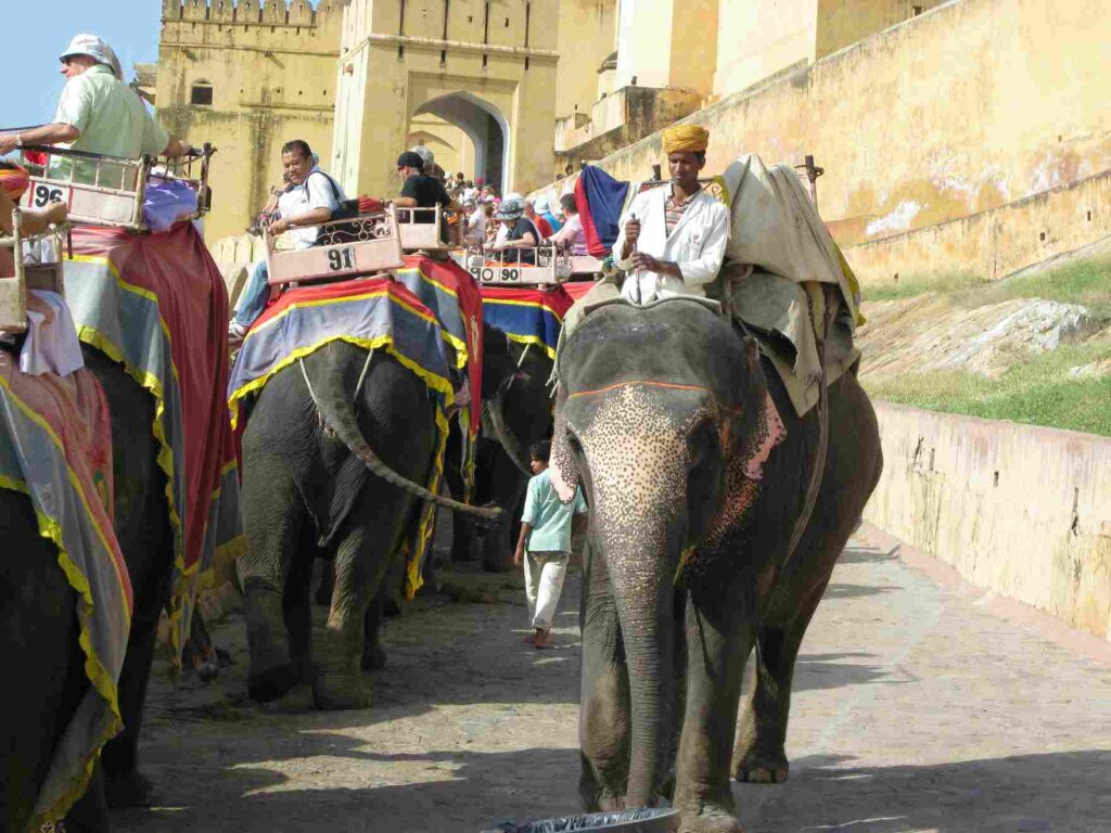 Tourists riding elephants at Amer Fort, Jaipur. Image credit: Wikimedia.