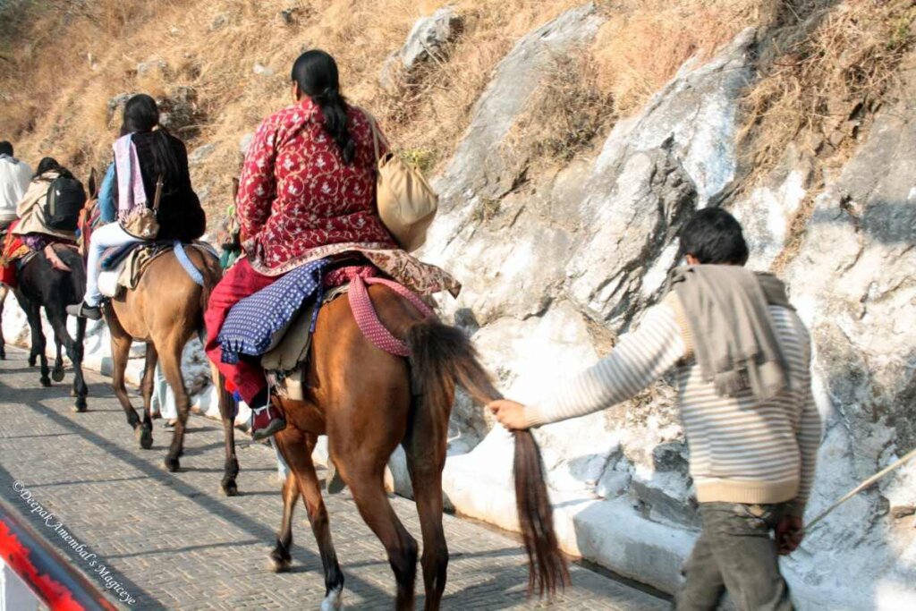 Pony ride along the path to Mata Vaishno Devi Temple, amidst scenic mountains and lush greenery. Image source: Google