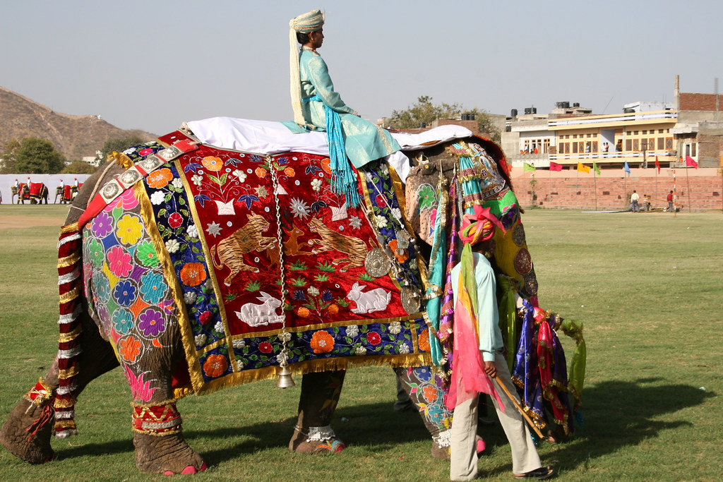 Jaipur Elephant Festival Image by Flickr: Capturing the Essence of Rajasthan's Cultural Splendor