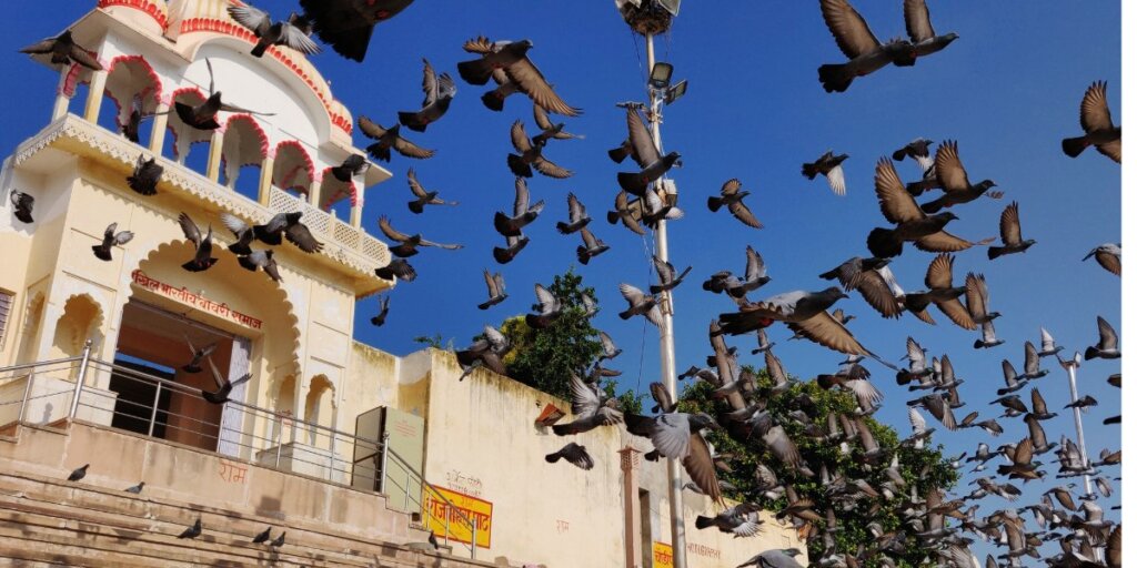 Explore the serene beauty of the Brahma Temple in Pushkar, Rajasthan. This sacred Hindu shrine, dedicated to Lord Brahma, is a symbol of divine spirituality and architectural elegance. Experience the tranquility and spirituality of this ancient temple.