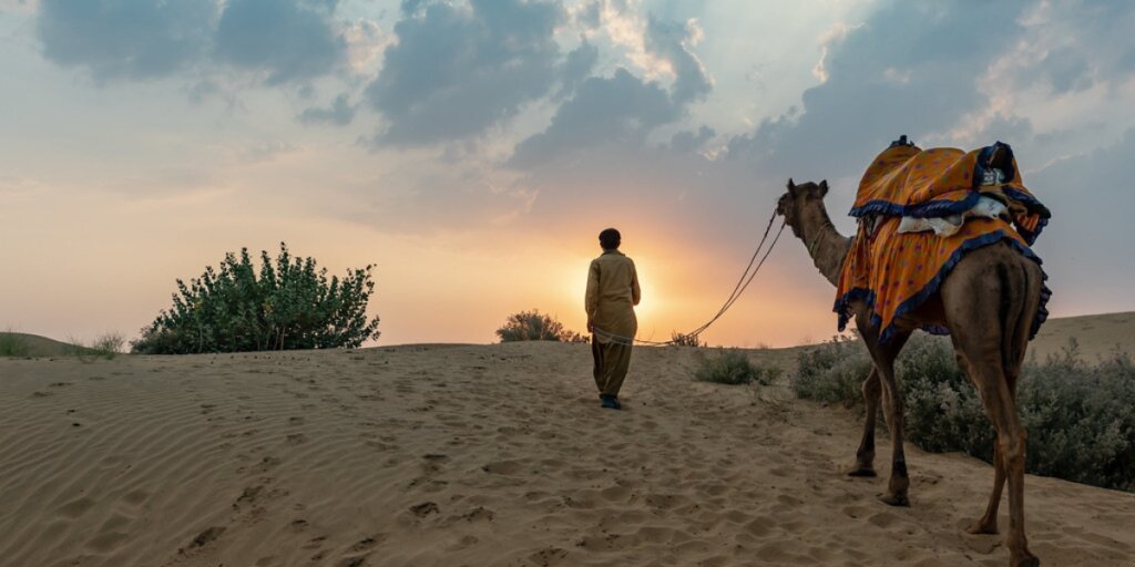 Image of a camel trekking through the Jaisalmer Desert, led by its handler. Experience the desert journey with a single camel. Find this image on Flickr.