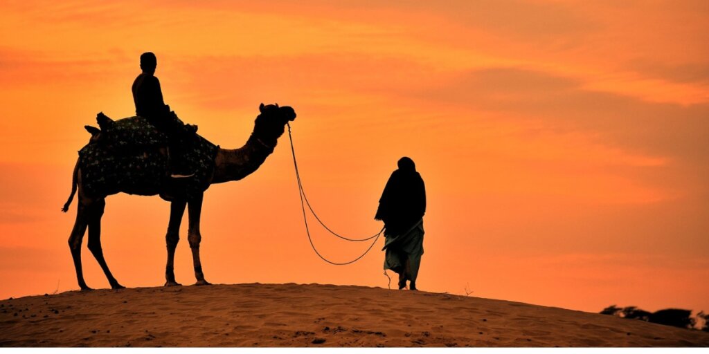 A camel ride taking place in the evening in Jaisalmer. The silhouettes of camels and their riders are visible against the backdrop of a colorful sunset, with the expansive desert landscape stretching out around them.

Get this image on: PixaHive.